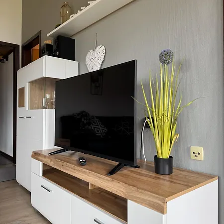 Sauerlaender Henne-luett *