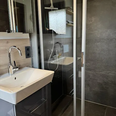 Sauerlaender Henne-luett * Meschede