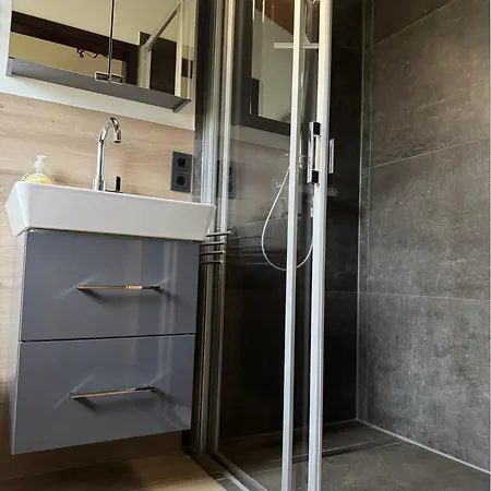 Sauerlaender Henne-luett * Meschede