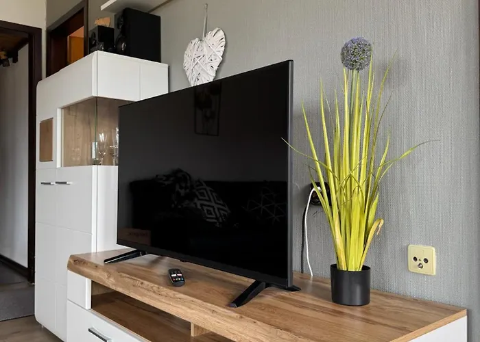 Sauerlaender Henne-luett *