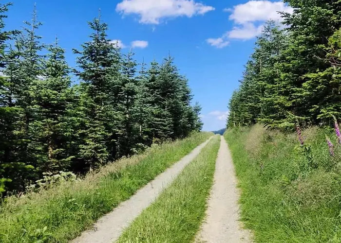 Sauerlaender Henne-luett * Meschede