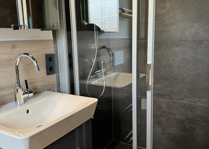 Sauerlaender Henne-luett * Meschede