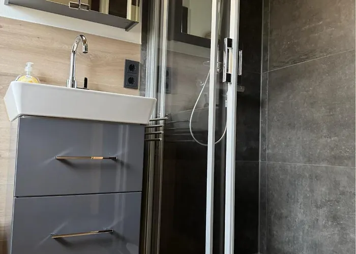 Sauerlaender Henne-luett * Meschede